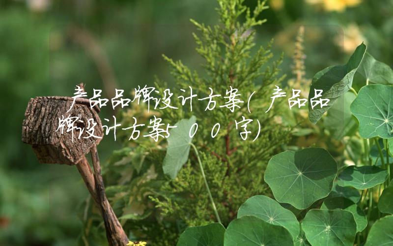 產(chǎn)品品牌設(shè)計(jì)方案(產(chǎn)品品牌設(shè)計(jì)方案500字)