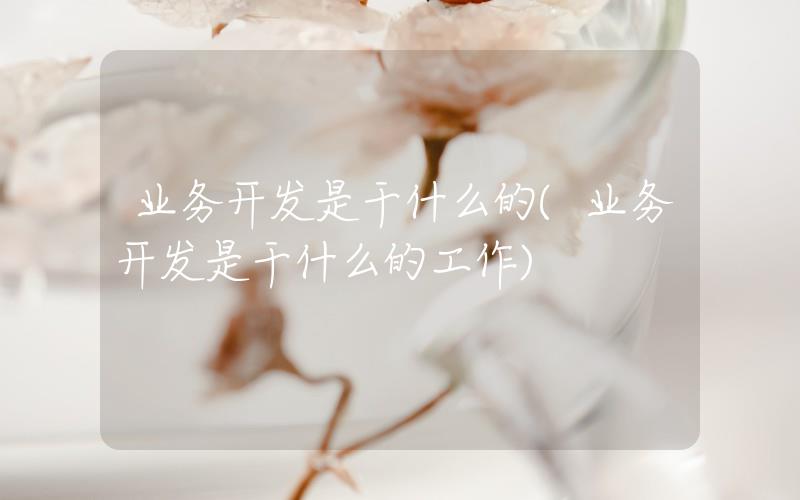 業(yè)務(wù)開(kāi)發(fā)是干什么的(業(yè)務(wù)開(kāi)發(fā)是干什么的工作)