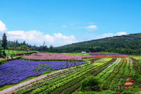 校園山體景觀設(shè)計