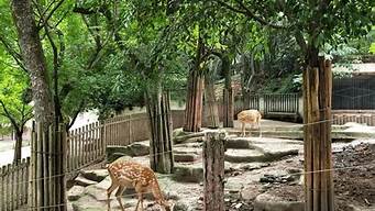 重慶動(dòng)物園景觀設(shè)計(jì)（重慶動(dòng)物園景觀設(shè)計(jì)方案）