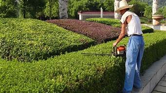 公園園林綠化養(yǎng)護(hù)（公園園林綠化養(yǎng)護(hù)工作匯報(bào)）