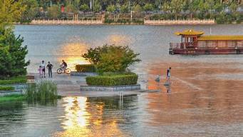 五象湖公園景觀設計（五象湖公園景觀設計理念）