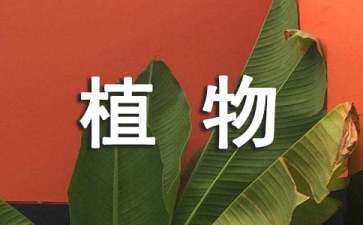 女子學(xué)院植物景觀設(shè)計