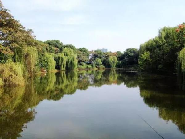 武漢中山公園景觀設計師（武漢中山公園景觀設計師名單）