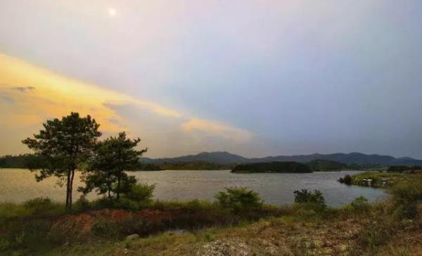 武漢中山公園景觀設計師（武漢中山公園景觀設計師名單）