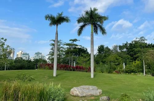 深圳仙湖植物園景觀設(shè)計(jì)（深圳仙湖植物園景觀設(shè)計(jì)師是誰(shuí)）