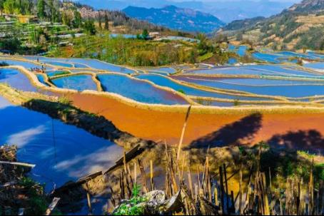 麗江旅游排行榜（麗江旅游排行榜前十）