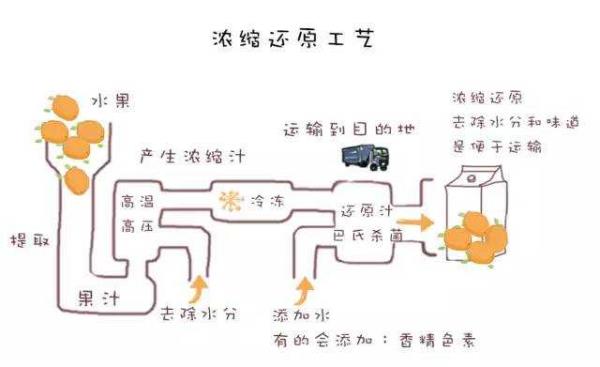 進口果汁品牌排行榜（進口果汁品牌排行榜小馬寶莉袋裝葡萄汁）